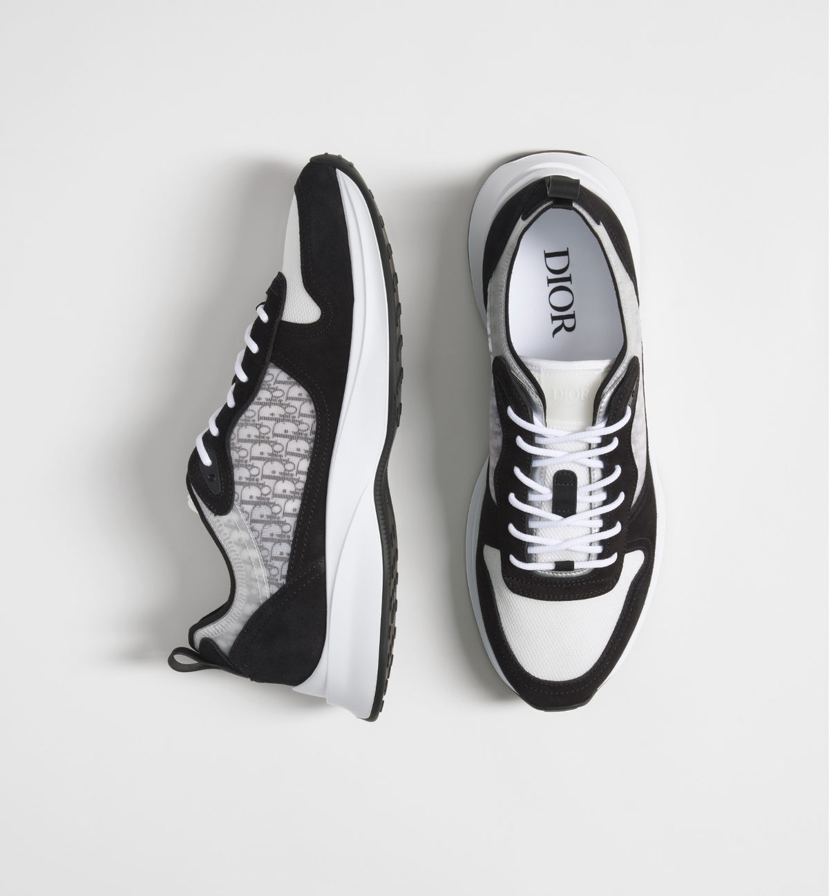 Dior B25